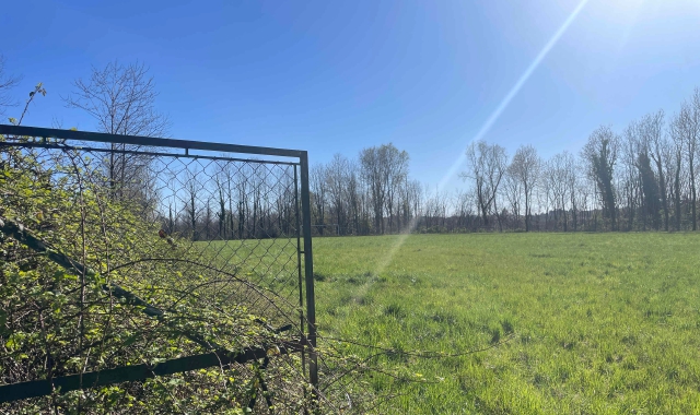 L’area di via Duni dove dovrebbe sorgere il nuovo canile di Varese