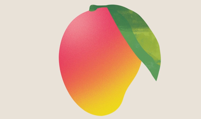“L’eleganza del mango”, tra musica e poesia