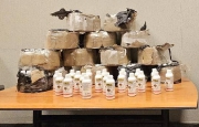 Farmaci illegali, a Malpensa anche 200 flaconi di insetticida