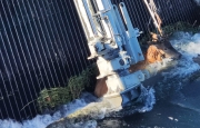 Cervo salvato nel canale