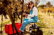 Vino varesino: 80.000 bottiglie