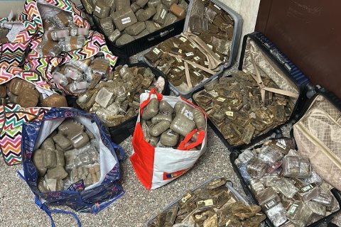 Borse piene di hashish. Due arresti