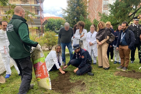 Luino, piante per la salute a dimora in ospedale
