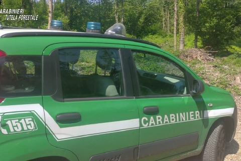 Dissemina la Statale di mobili da smaltire: due denunce