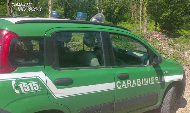 Dissemina la Statale di mobili da smaltire: due denunce