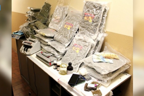 Capannone per la droga, pistola e cartucce: un arresto e due denunce