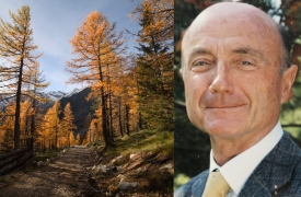 Pista per mountain bike, chiesto il processo per l’ex sindaco