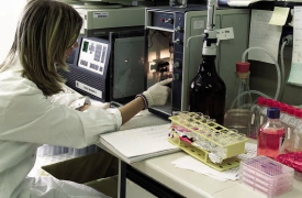 Crisi Nms, stop ai licenziamenti. Ma solo fino al 10 dicembre