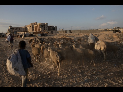 Mosca propone una bozza all'Onu su Gaza, sfida agli Usa