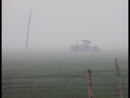 Elicottero precipita nel Mantovano, morto il pilota