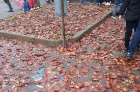 Foglie davanti alla scuola, anziana cade. Genitori e nonni chiedono più pulizia