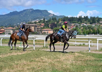 Varese Turf & Sport: «A noi la concessione delle Bettole»