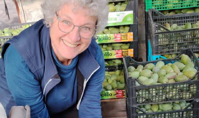 Roberta De Rosa mostra i frutti di feijoa: a Leggiuno esiste l’unica coltivazione in provincia di Varese