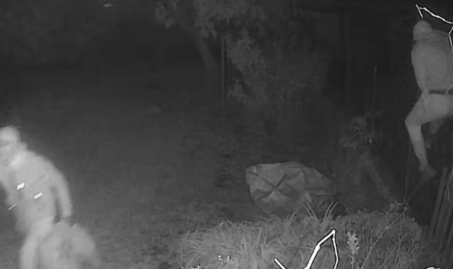 In un fermo immagine del sistema di videosorveglianza privato, l’intrusione dei ladri nel giardino di una villetta