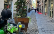 Sessanta nuove fioriere nel centro di Varese