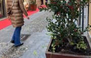 Sessanta nuove fioriere nel centro di Varese