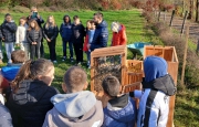 Cuveglio e Caravate: ecco i “bug hotel”