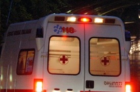 Cervo sulla strada: cade ragazzo in moto