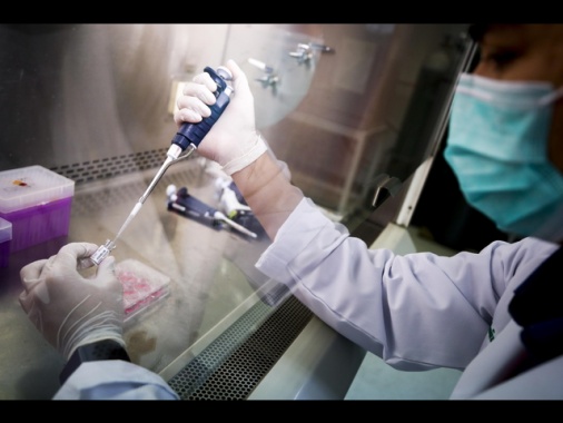 Nel mondo 230 trial su vaccini mRna per 20 tumori ma Sos fondi