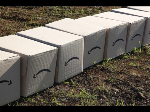 Amazon versa al Fisco oltre 180 milioni e cambia algoritmo