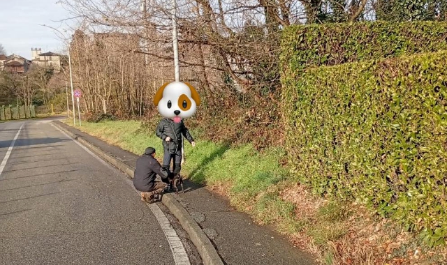 La foto pubblicata su Facebook dal sindaco di Morazzone