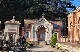 Vai al cimitero e trovi una giungla