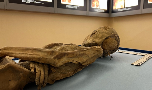 Bio archaeo day: al via all’Insubria la quarta edizione