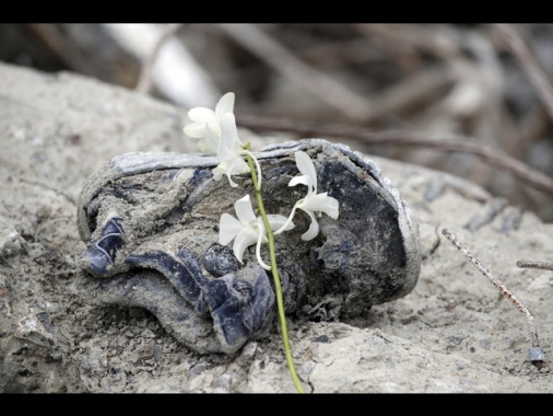 Birmania: raid aereo della giunta su un ospedale, almeno 31 morti