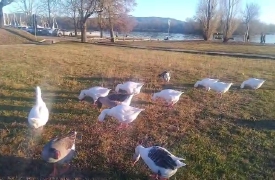 Oche superstar ad Angera