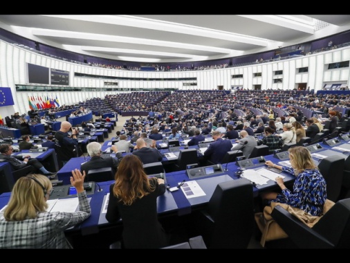 Via libera dall'Eurocamera alla semplificazione della due diligence