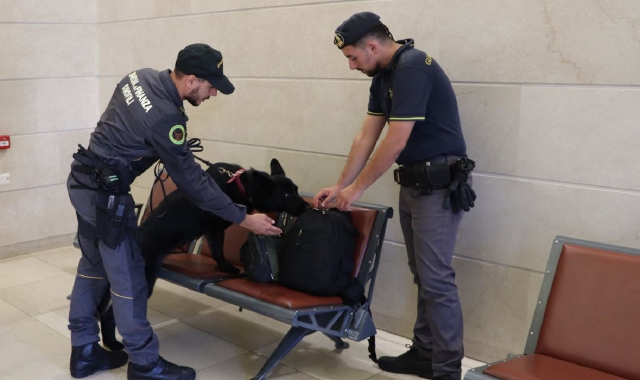 Traffico di valuta, ecco il cane che fiuta i contanti