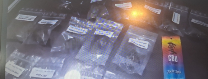 Tg Prealpina, Polizia nei cannabis shop: denunce e sequestri