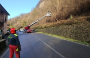 Pianta cade su un palo del telefono: chiusa la Provinciale