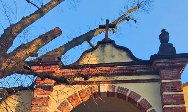 L’albero è caduto sulla porta di ingresso principale