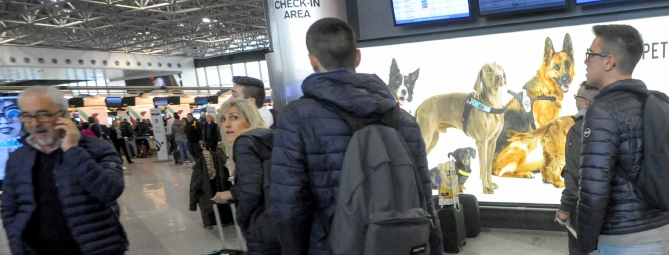 Malpensa, l’aereo sotto le feste costa un salasso