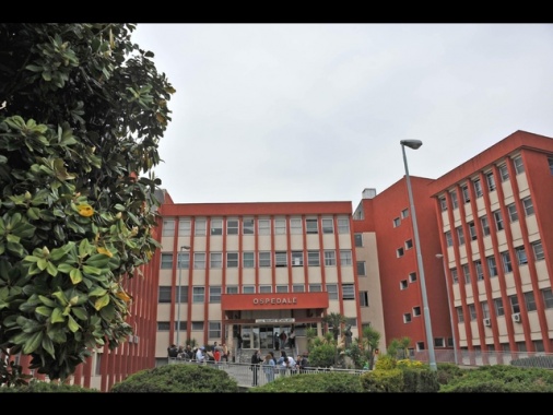 Bimbo di 13 mesi azzannato dal pitbull di casa, non è in pericolo di vita