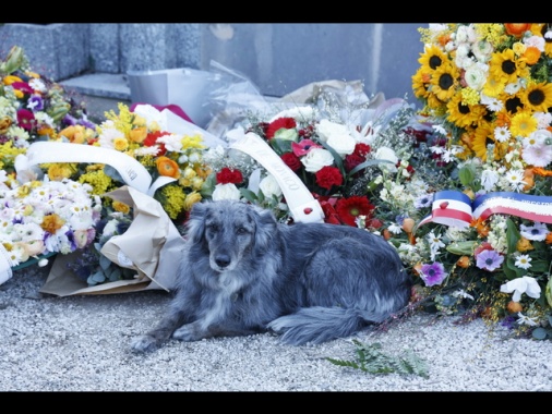 La tomba di Brigitte Bardot accessibile al pubblico, 'grazie B.B.'