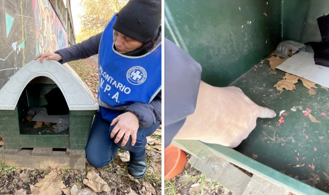I danni alla cuccia allestita dall’Enpa (foto Domenico Ghiotto)