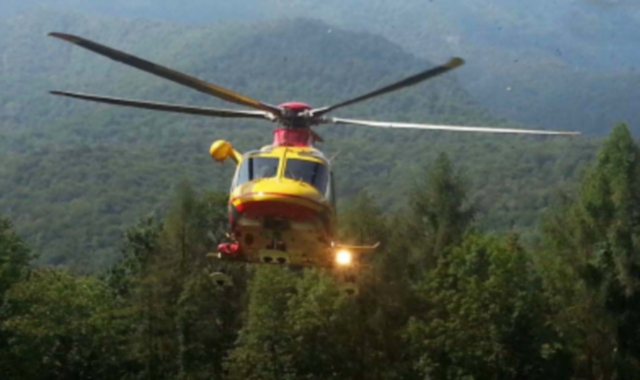 Cade dall’albero e si ferisce: arriva l’elisoccorso