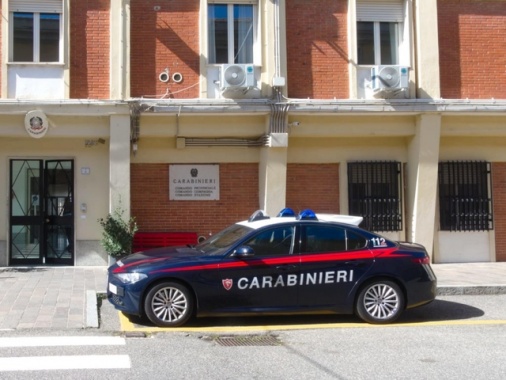 Nel Nuorese una delle più grandi piantagioni di marijuana in Italia