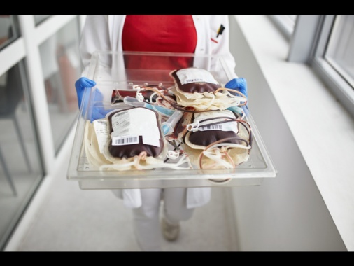 Raccolta record di plasma in Italia ma ancora non è autosufficiente