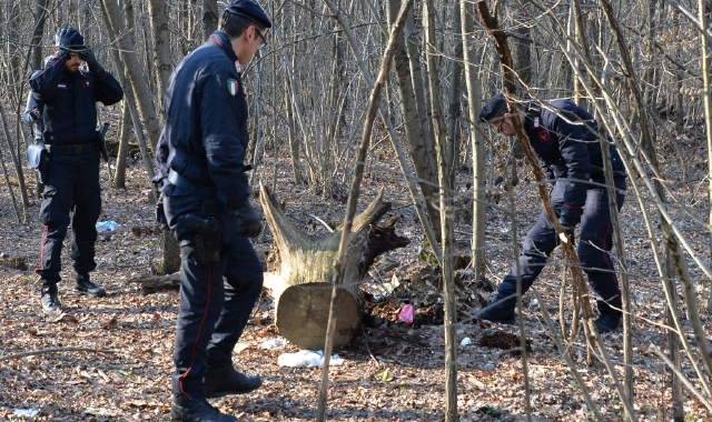 Un intervento dei carabinieri nel Parco delle Groane contro lo spaccio di droga  (foto archivio)