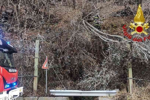 Pianta precipita sulla strada per Macugnaga