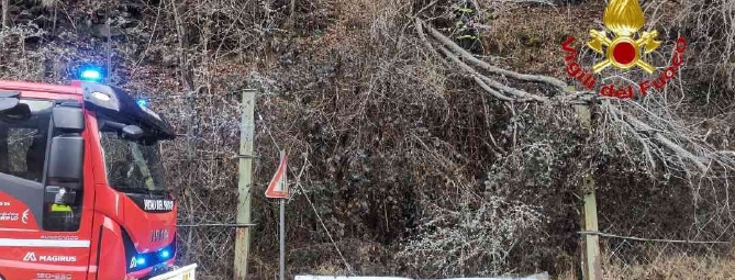 Pianta precipita sulla strada per Macugnaga