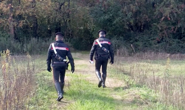 Vede il ladro dal balcone e chiama il marito: acciuffato nel bosco