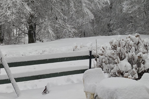 Ecco la neve: magia al Campo dei Fiori