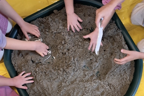 «Classe per disabili»: proposta choc di Cassani alla Fondazione Materne