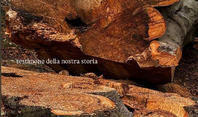 La storia pubblicata su Instagram da Filippa Lagerbäck