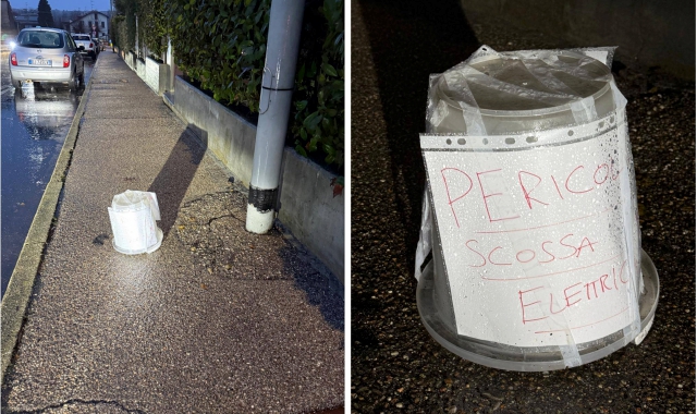 Scossa elettrica dal palo della luce: il cane si sente male