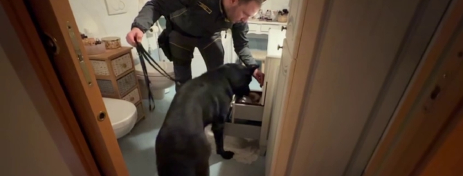 Dalla droga alle armi: arrestati in silenzio